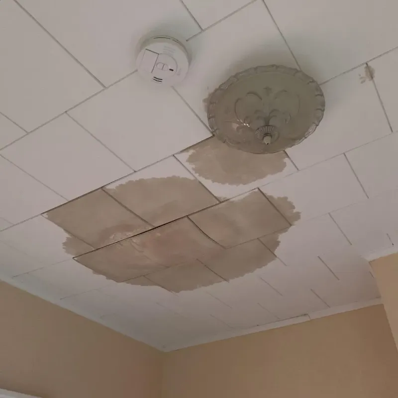Ceiling Water Damage Repair in Fairview, CA