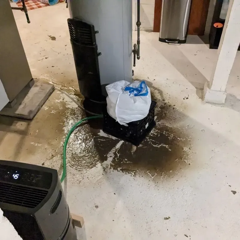 Sewage Backup Cleanup Service in Fairview, CA